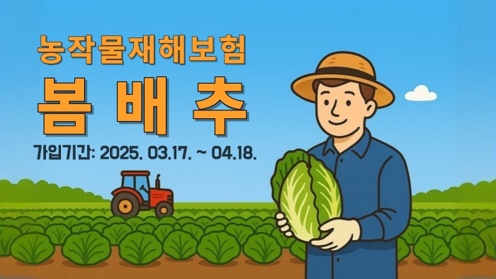 농작물재해보험 봄배추