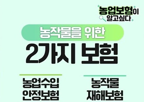 농업보험이알고싶다 농작물을 위한 2가지 보험 농업수입안정보험 농작물재해보험