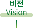비젼(vision)