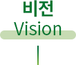 비전(vision)