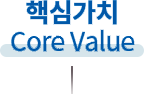핵심가치(core value)