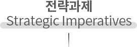 전략과제(strategic imperatives)
