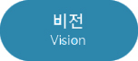 비젼(vision)