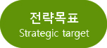전략목표(strategic target)