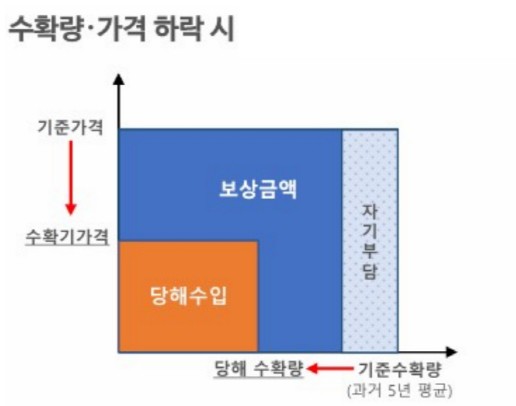 가격 하락분과 수확량 감소분을 모두 감안하여 손해로 산정 : 표준가격 → 실제가격, 예상수확량 → 실제수확량 | 보상대상＞실제수입
